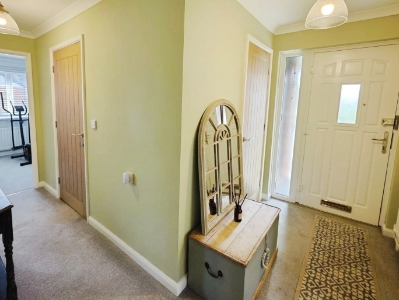 Picture 7